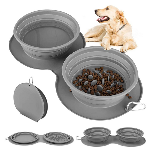 Collapsible Slow Feed Bowl Set