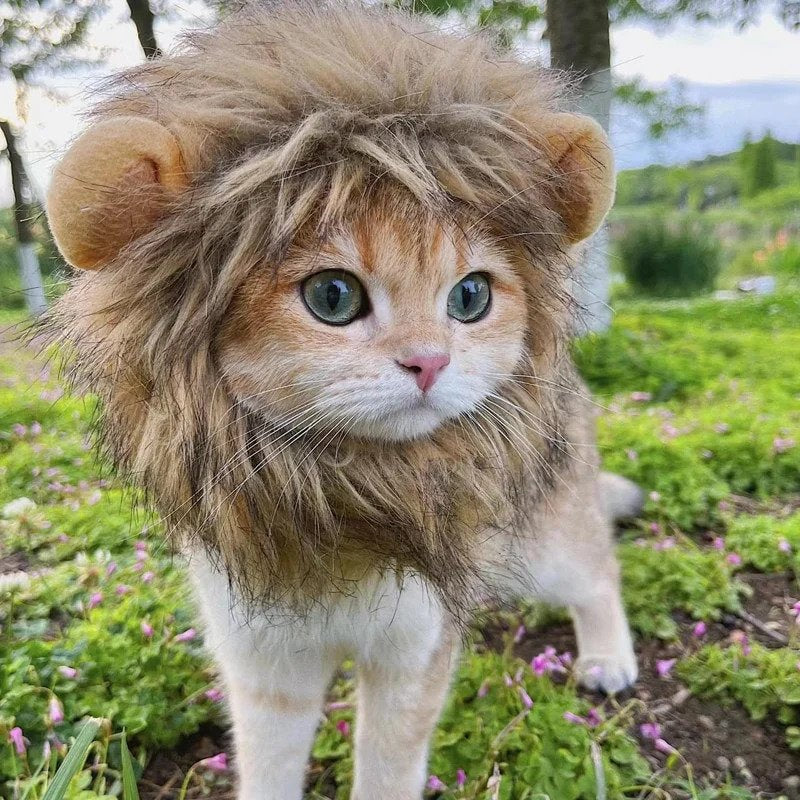 Regal Pet Lion Mane